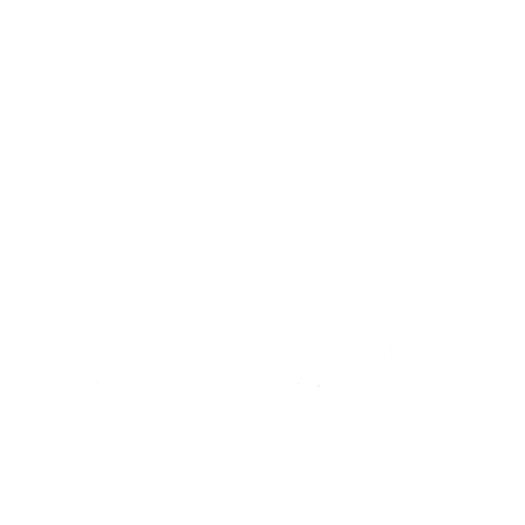 logo light